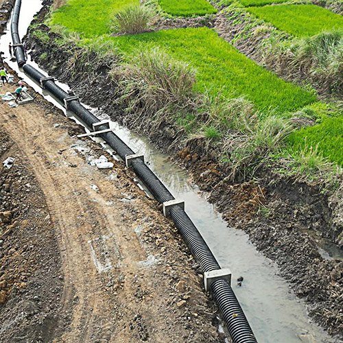 irrigation